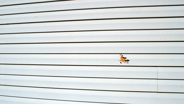 Affordable siding repair and maintenance services in Eau Claire, WI
