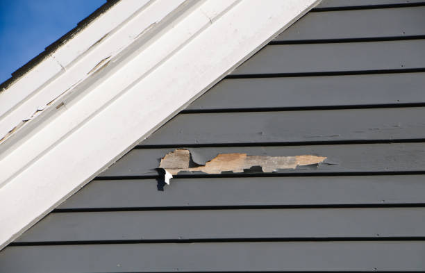 Best Composite Siding  in Eau Claire, WI