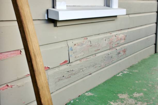 Best Fiber Cement Siding Installation  in Eau Claire, WI